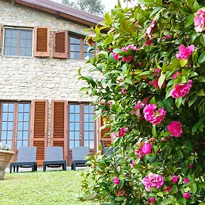 Camelia Tuscany Villa